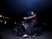 Wolf Bass GIF by IDK