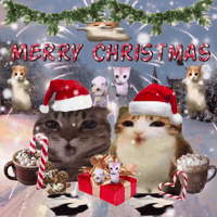 Merry Christmas GIF by Respective
