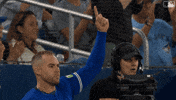 Blue Jays Baseball GIF by Toronto Blue Jays