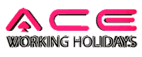 Ace Ibiza Sticker by AceWorkingHolidays