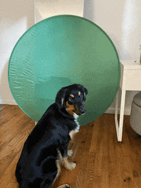 PRYMALL green screen prymall primesale GIF