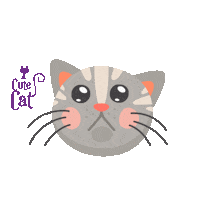 CuteCatPe cats emoji gato gatos Sticker