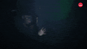 Scream GIF by BuzzFeed