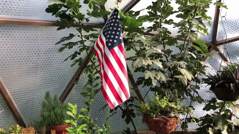 brenhaas giphygifmaker usa 911 memorial GIF