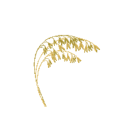 Withb harvest oats withb wheatbelt Sticker