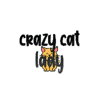 Cat Catlove Sticker by tSocial