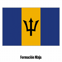 Flag Bb GIF by Formación Ninja