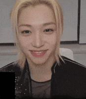 Stray Kids Skz GIF