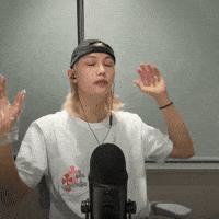 Stray Kids Skz GIF