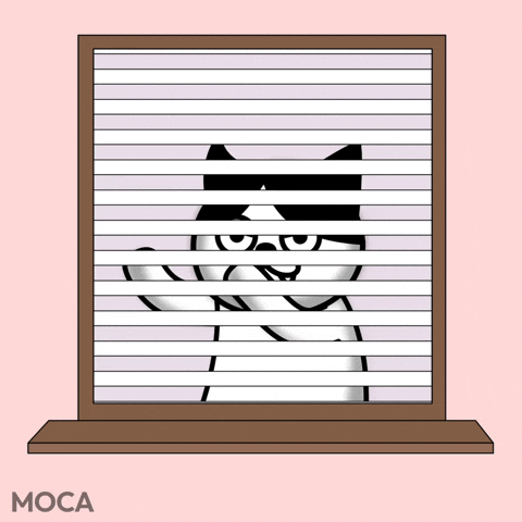 Whats Up Hello GIF by Moca Network