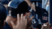 Regular Season Sport GIF by MLB