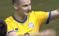 Chesnokov GIF