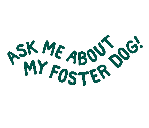 Meredithcantyy Sticker