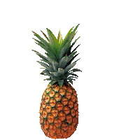 pineapple STICKER by imoji