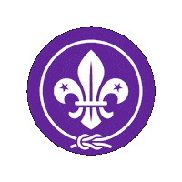 Flor De Lis Badge Sticker by World Scouting
