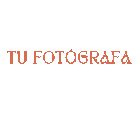 ludymorejonphotography camera miami fotos photograph Sticker