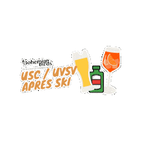 Bohemianbirds skireis bohemianbirds uscuvsv skireis2023 Sticker