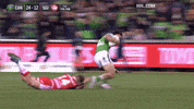 Nrl GIF by Canberra Raiders