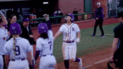 Northwestern University Softball GIF by Northwestern Athletics