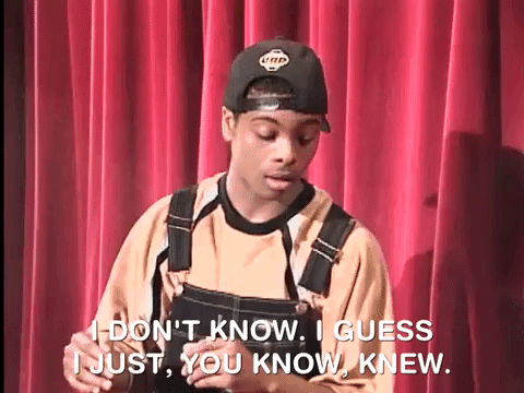 kenan and kel nicksplat GIF