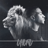 NovaSound music new york hip hop lion GIF