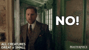 Are You Serious No Way GIF by MASTERPIECE | PBS