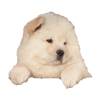 STICKER by imoji