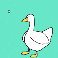 Illustrated gif. A goose stands there still and then pops its wings up and it's eyes widen with excitement. The goose says, “You are my everything!” The gif shakes as it says, “Everything!”