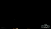 Black Panther Wakanda Forever GIF by Marvel Studios
