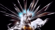 music video mv GIF by Lady Gaga