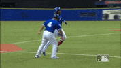 jr walkoff GIF by MLB