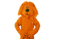 happy football Sticker by ING-DiBa Austria