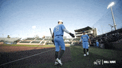 High Five Chase GIF by GreenWave