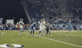 Celebrate College Sports GIF by Delaware Blue Hens