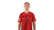 Fc Bayern Yes Sticker by Bundesliga
