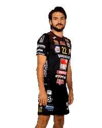 Asvolleylube volley lube superlega lubevolley Sticker