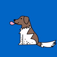 Brown Dog Oops GIF by bymartioska