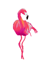 reinapatterns baile playa colores mar Sticker