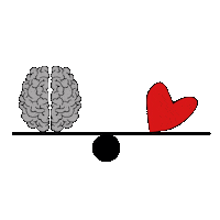 wicleymartins love amor emotions razao Sticker