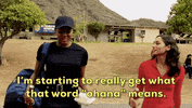 Steve Mcgarrett Eddie GIF by CBS