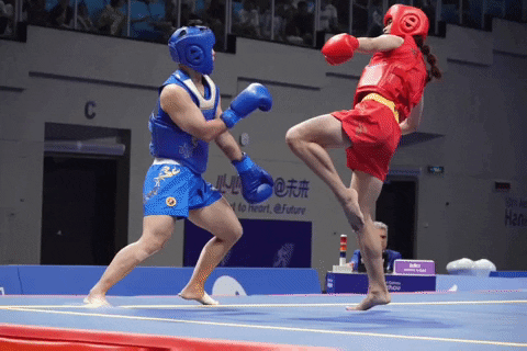 namtrung138 wushu hangzhou asiad GIF