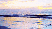 beach GIF