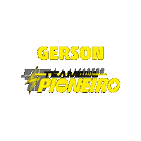 Gerson Sticker by Baterias Pioneiro