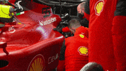 Laugh Smile GIF by Formula Santander