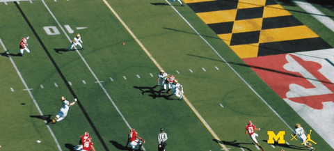 Go Blue College Football GIF by Michigan Athletics