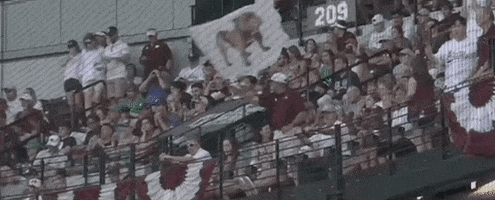 World Series Baseball GIF by NCAA Championships