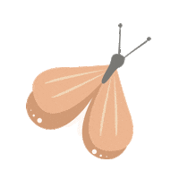 Mariposa Sticker