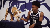 Butler Bulldogs Dog GIF by Butler University
