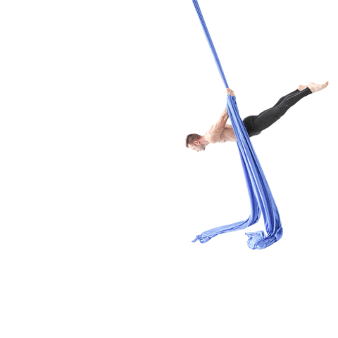 aerialphysique giphyupload aerialphysique Sticker