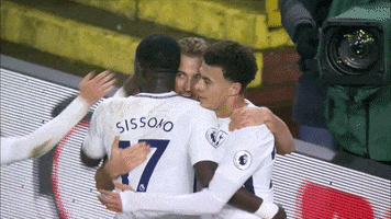 london football GIF by Tottenham Hotspur